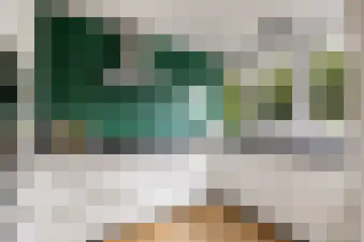 Catharina van Renneslaan 10 Utrecht thumbnail 8