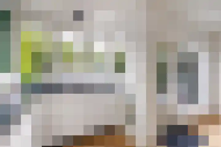 Catharina van Renneslaan 10 Utrecht thumbnail 9