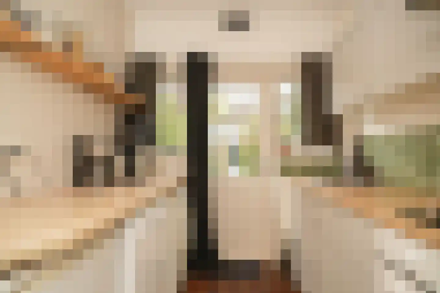 Catharina van Renneslaan 16 Utrecht thumbnail 12