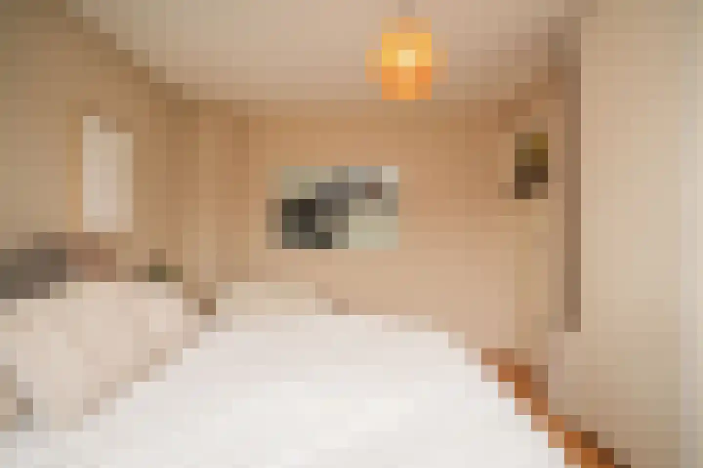 Catharina van Renneslaan 16 Utrecht thumbnail 18