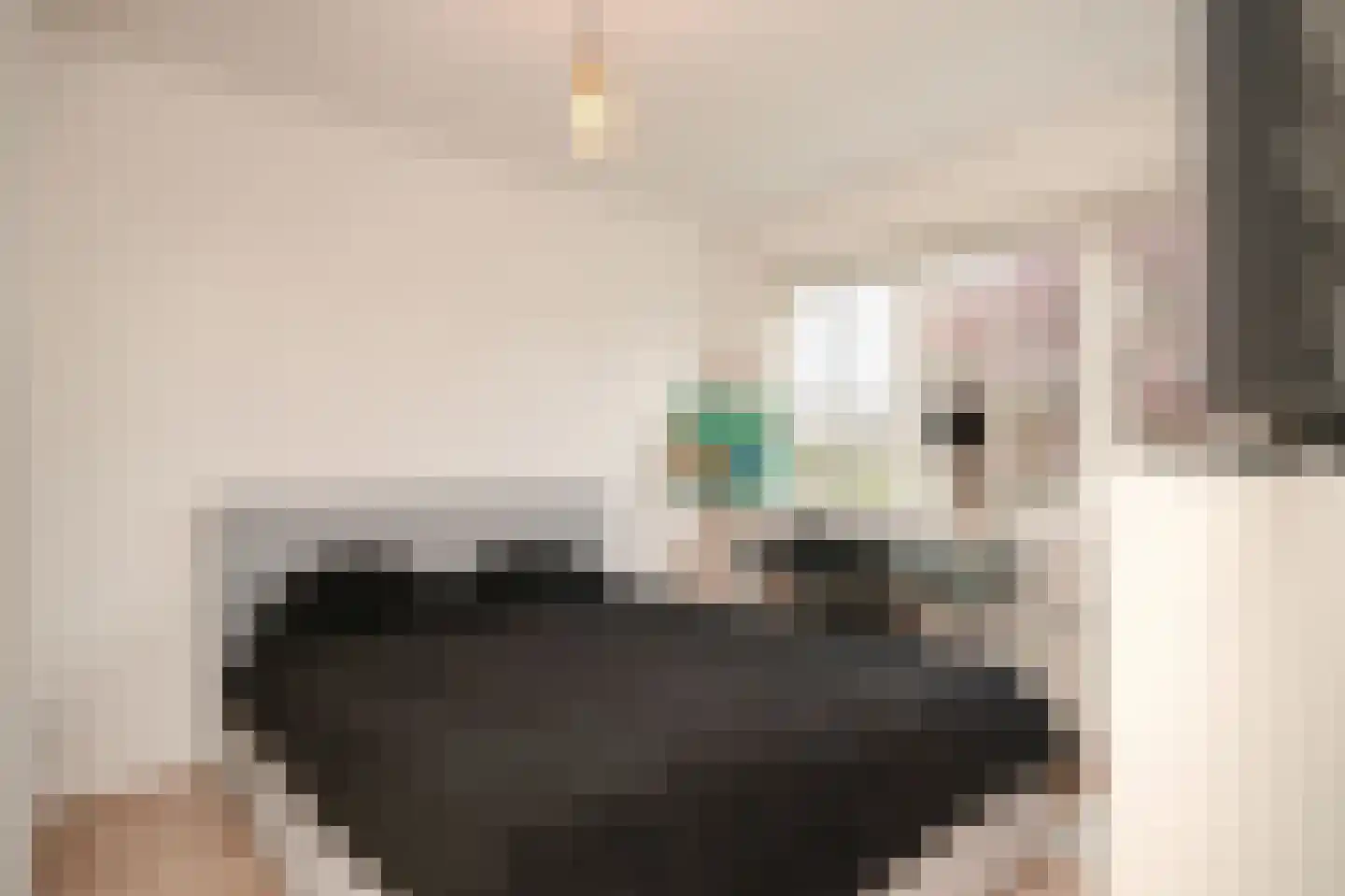 Catharina van Renneslaan 16 Utrecht thumbnail 22
