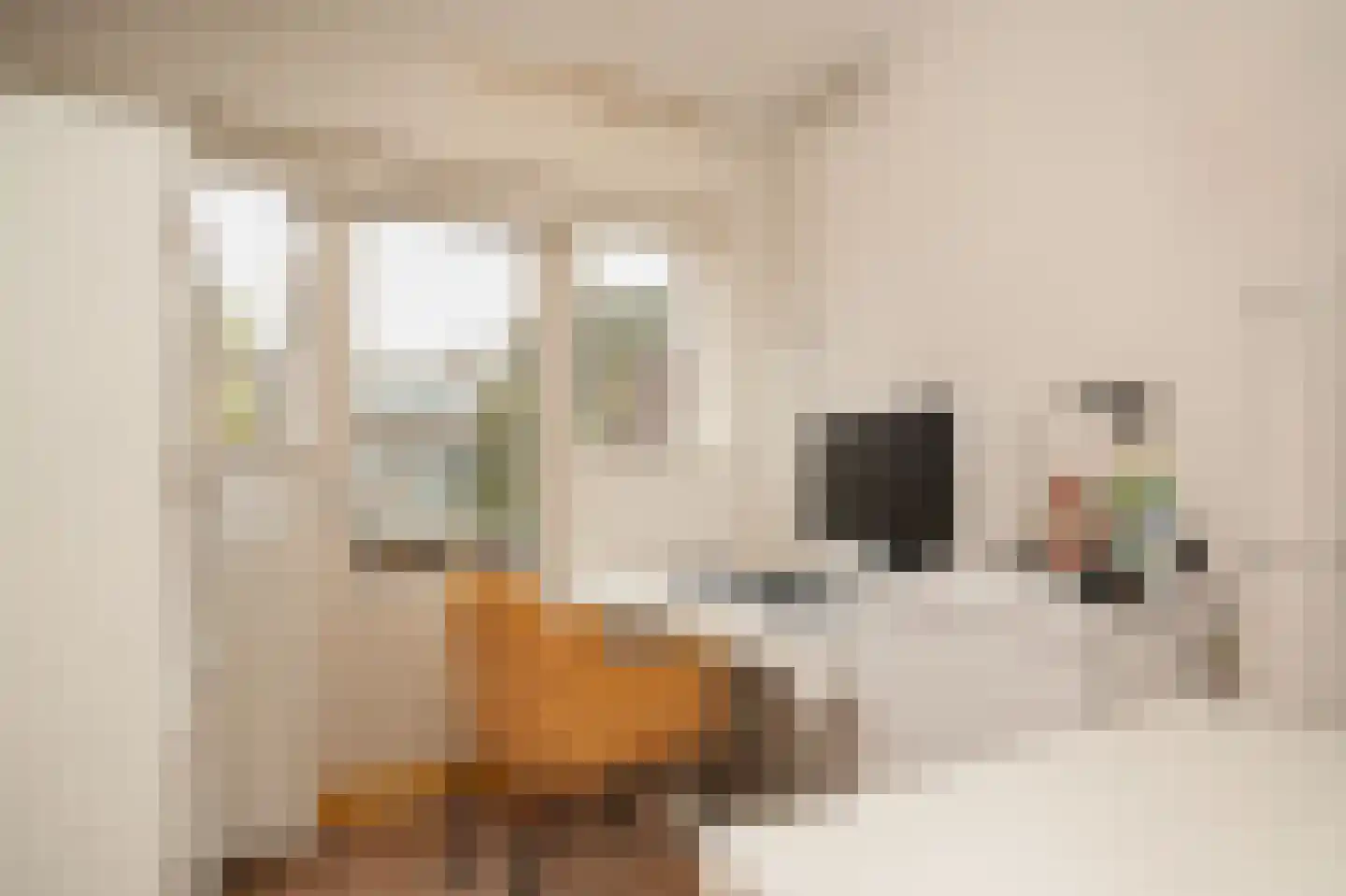 Catharina van Renneslaan 16 Utrecht thumbnail 25