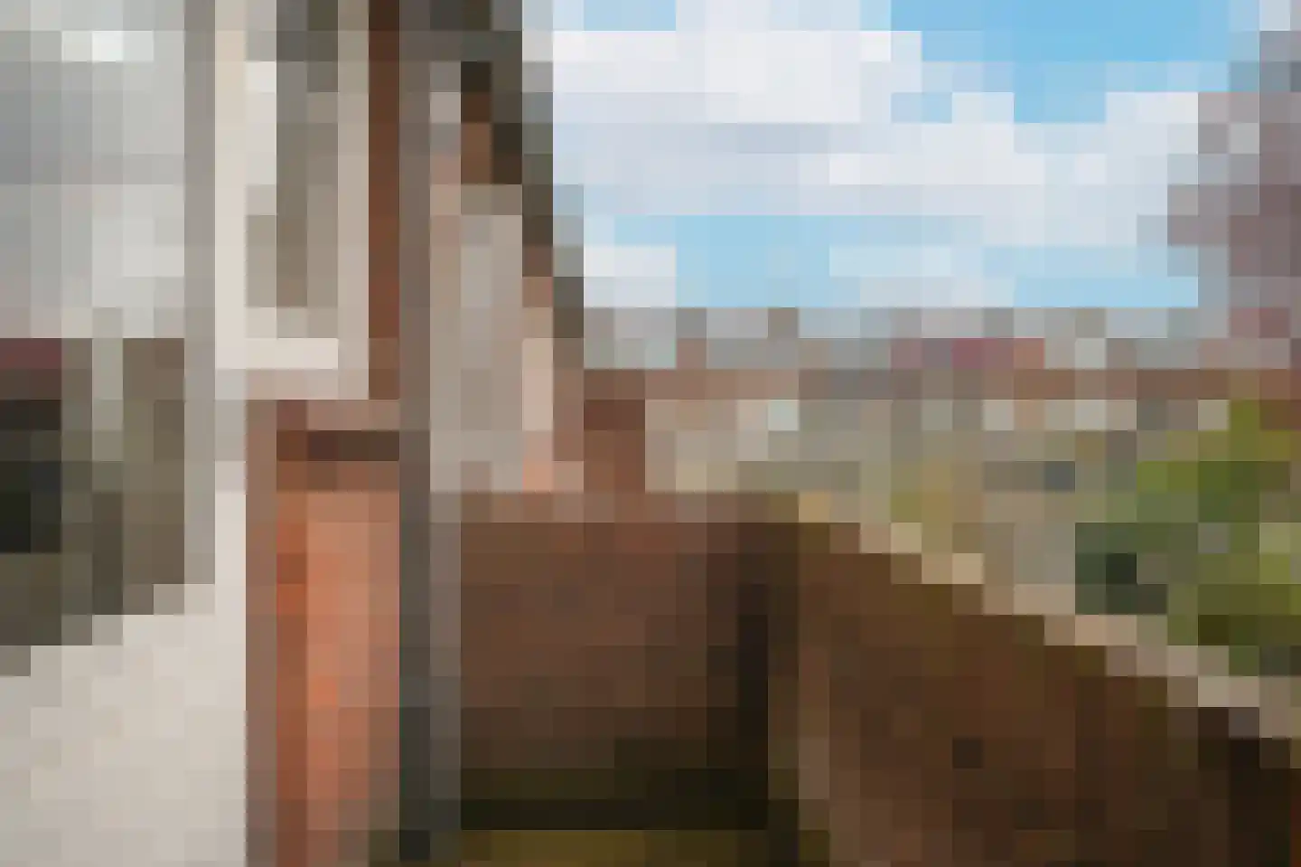 Catharina van Renneslaan 16 Utrecht thumbnail 26
