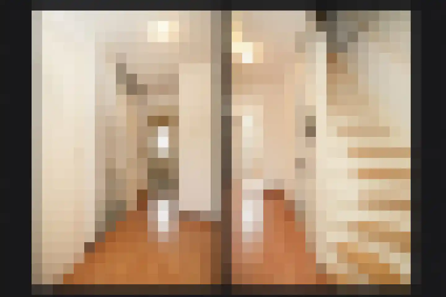 Catharina van Renneslaan 16 Utrecht thumbnail 28