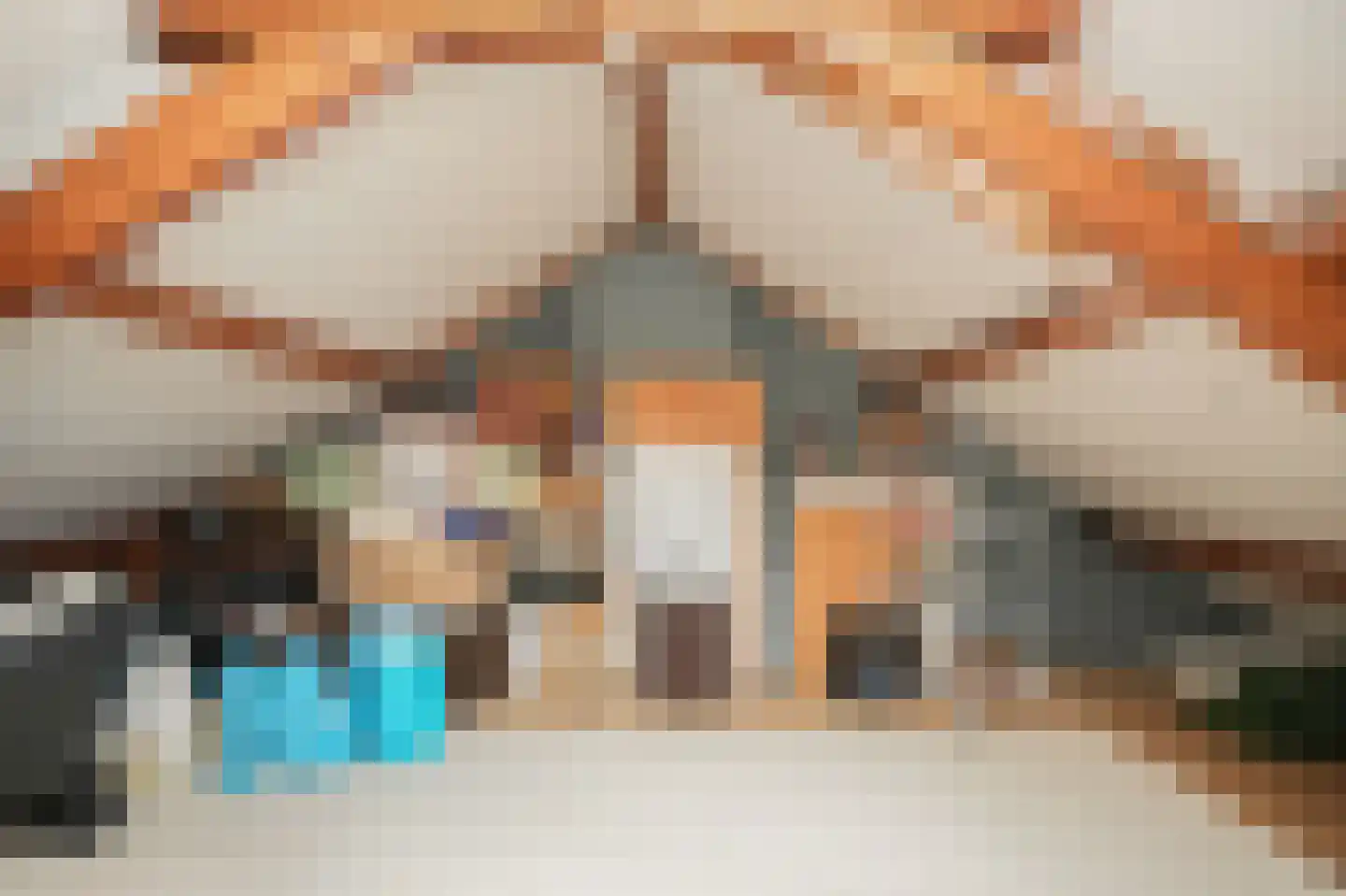 Catharina van Renneslaan 16 Utrecht thumbnail 29