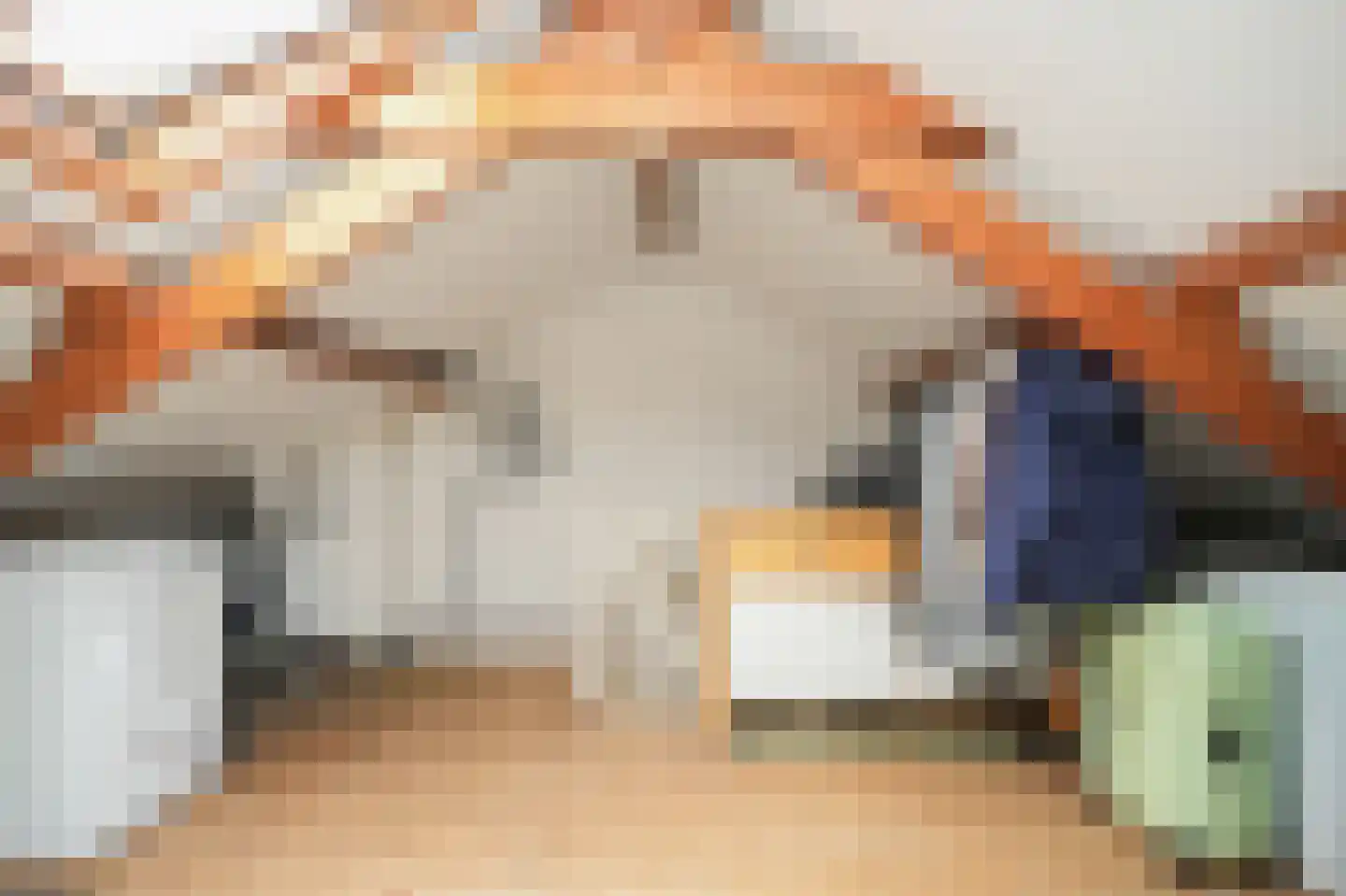 Catharina van Renneslaan 16 Utrecht thumbnail 30