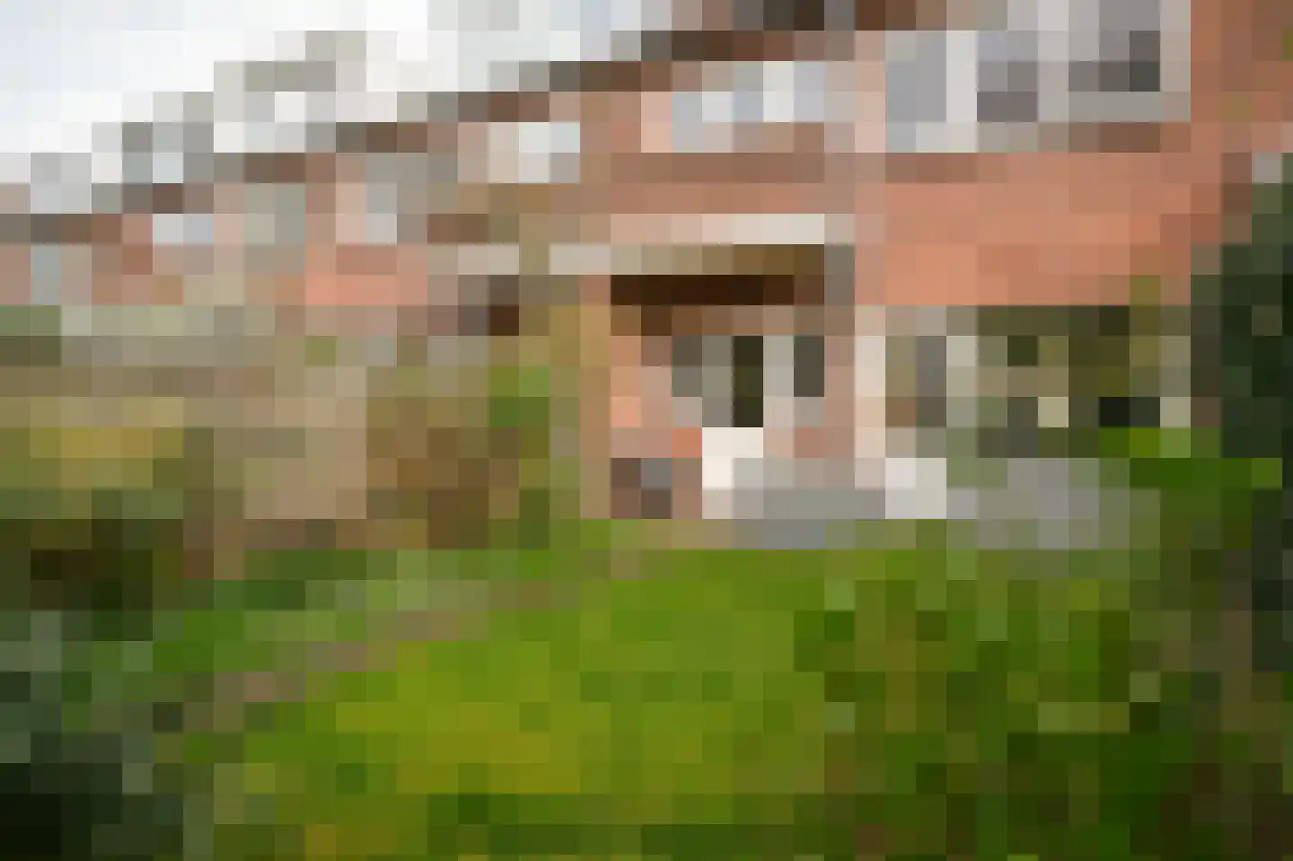 Catharina van Renneslaan 16 Utrecht thumbnail 33