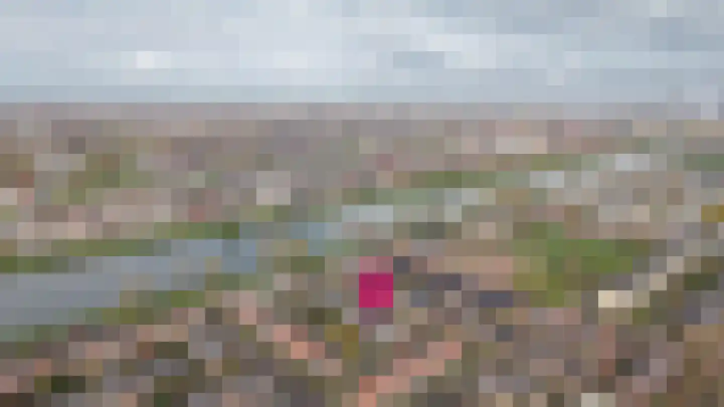 Catharina van Renneslaan 16 Utrecht thumbnail 47