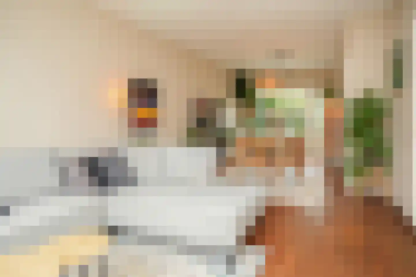 Catharina van Renneslaan 16 Utrecht thumbnail 5