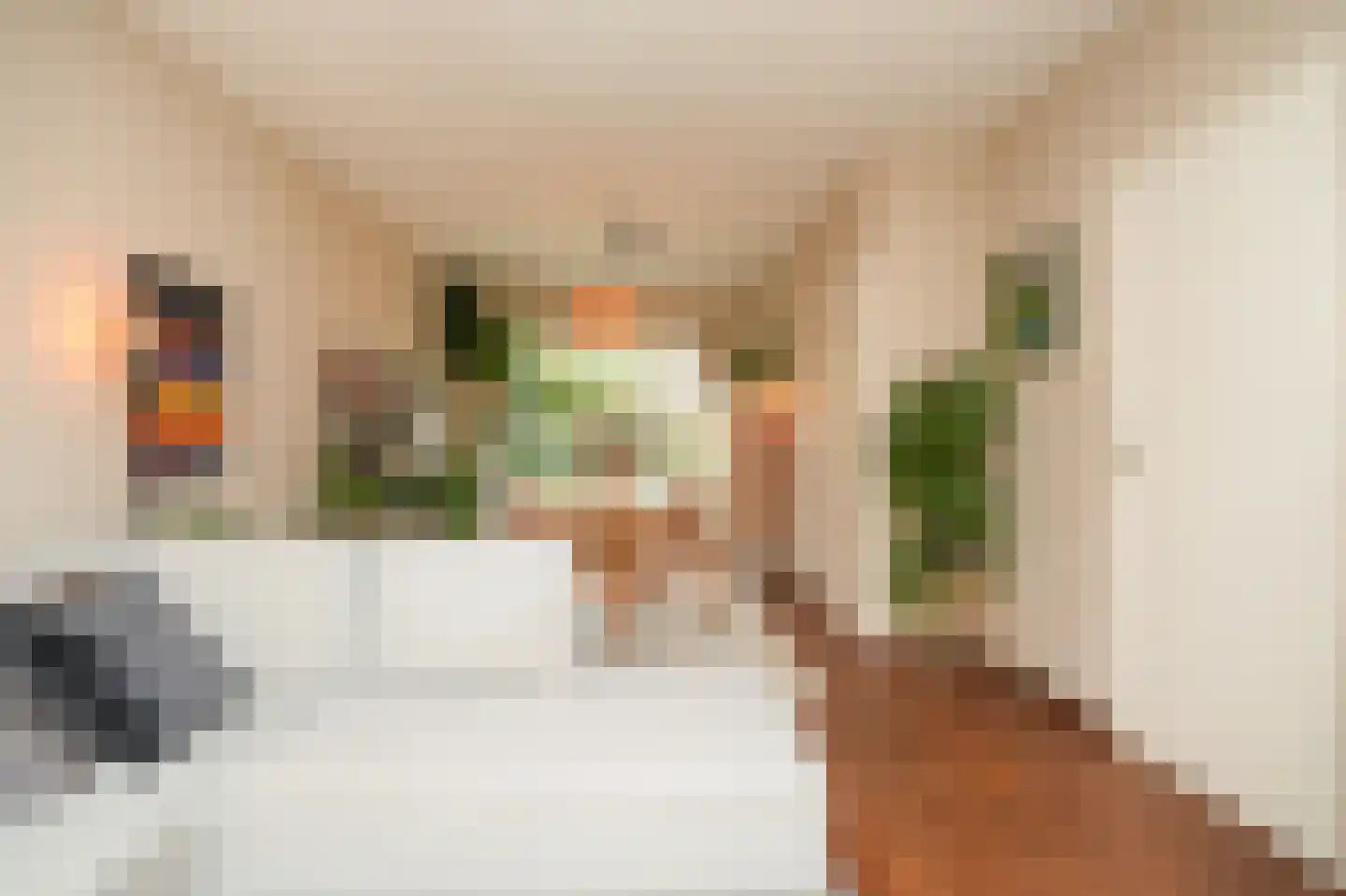 Catharina van Renneslaan 16 Utrecht thumbnail 7