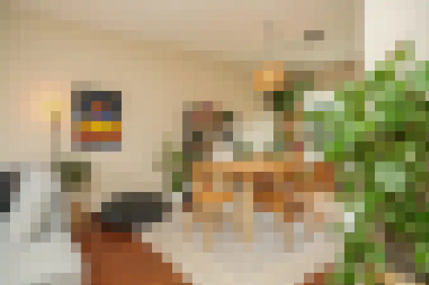 Catharina van Renneslaan 16 Utrecht thumbnail 8