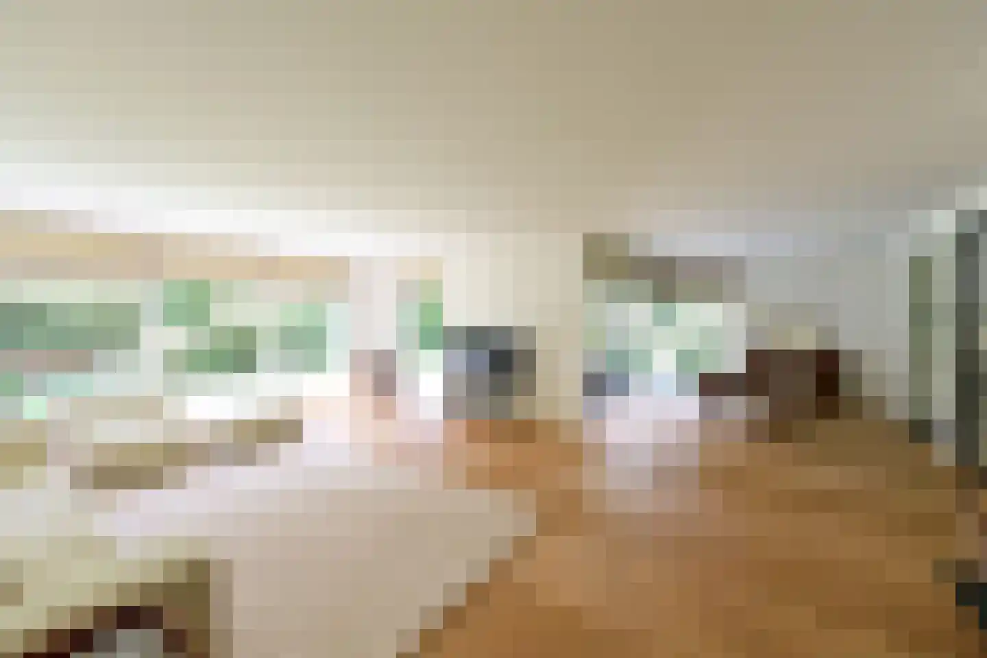 Catharina van Renneslaan 17 Hilversum thumbnail 17