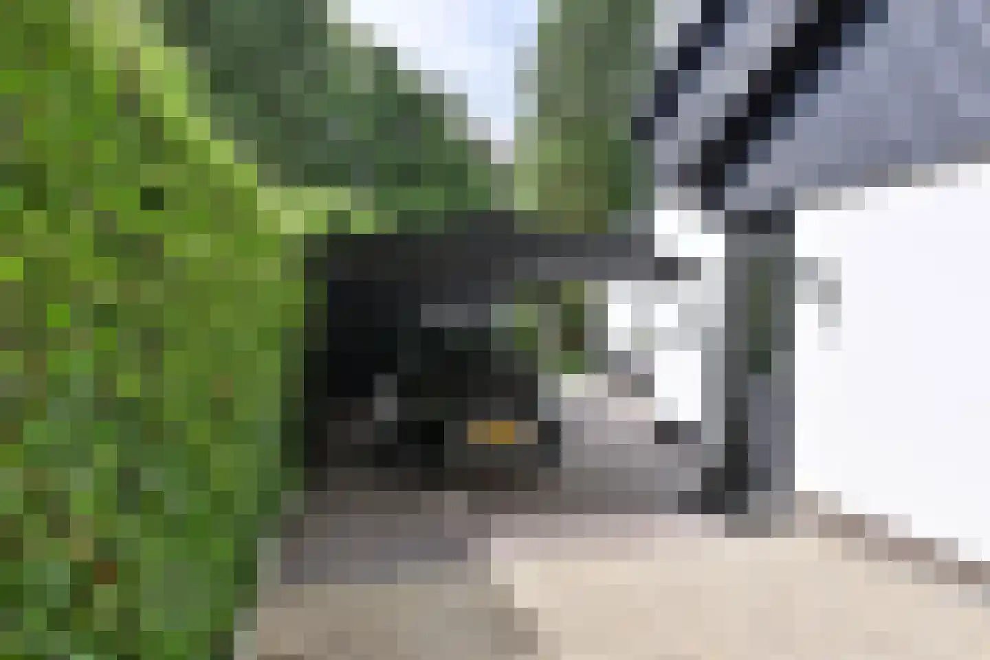 Catharina van Renneslaan 17 Hilversum thumbnail 5