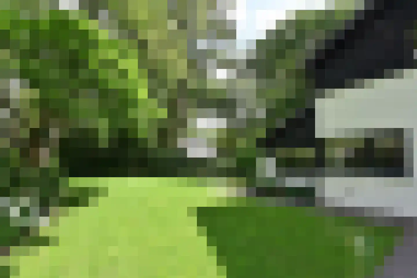 Catharina van Renneslaan 17 Hilversum thumbnail 8