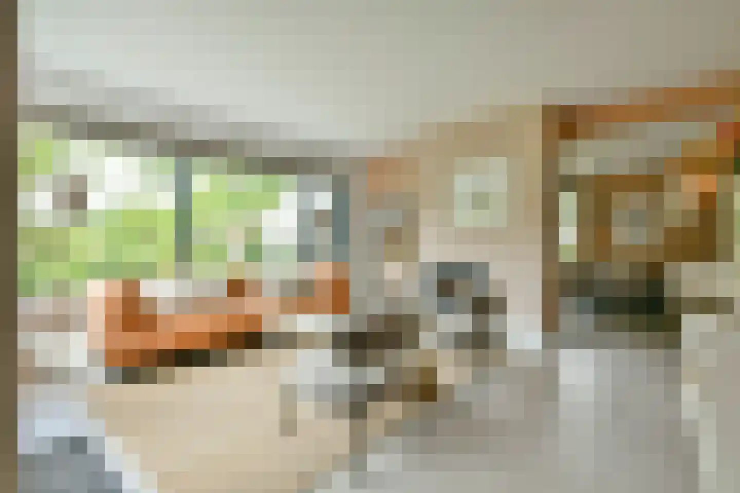 Catharina van Renneslaan 19 Hilversum thumbnail 17