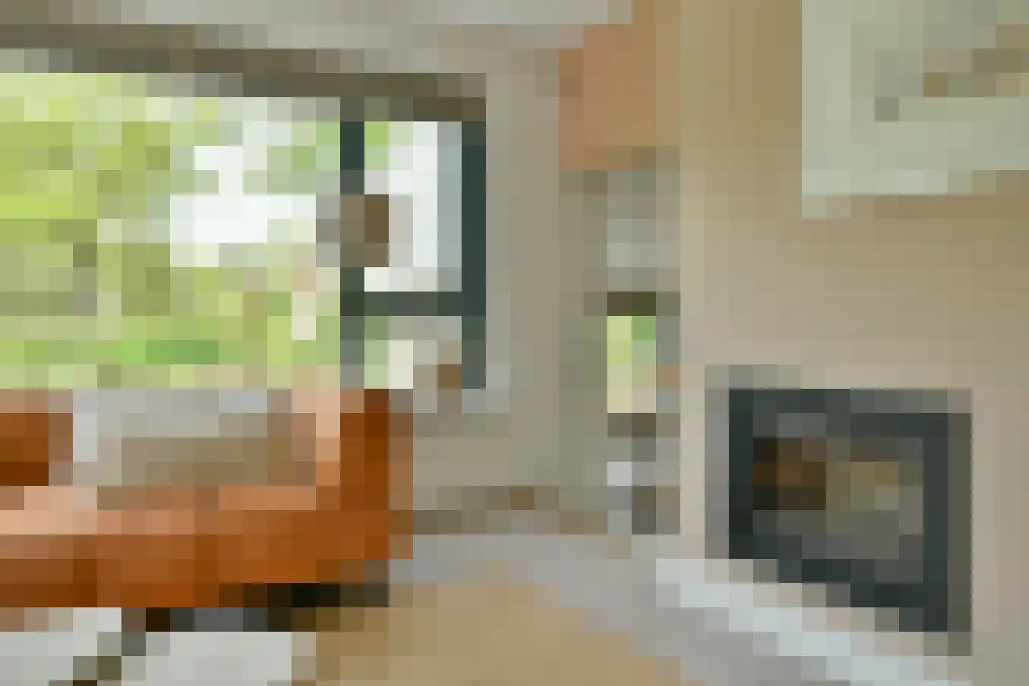 Catharina van Renneslaan 19 Hilversum thumbnail 18