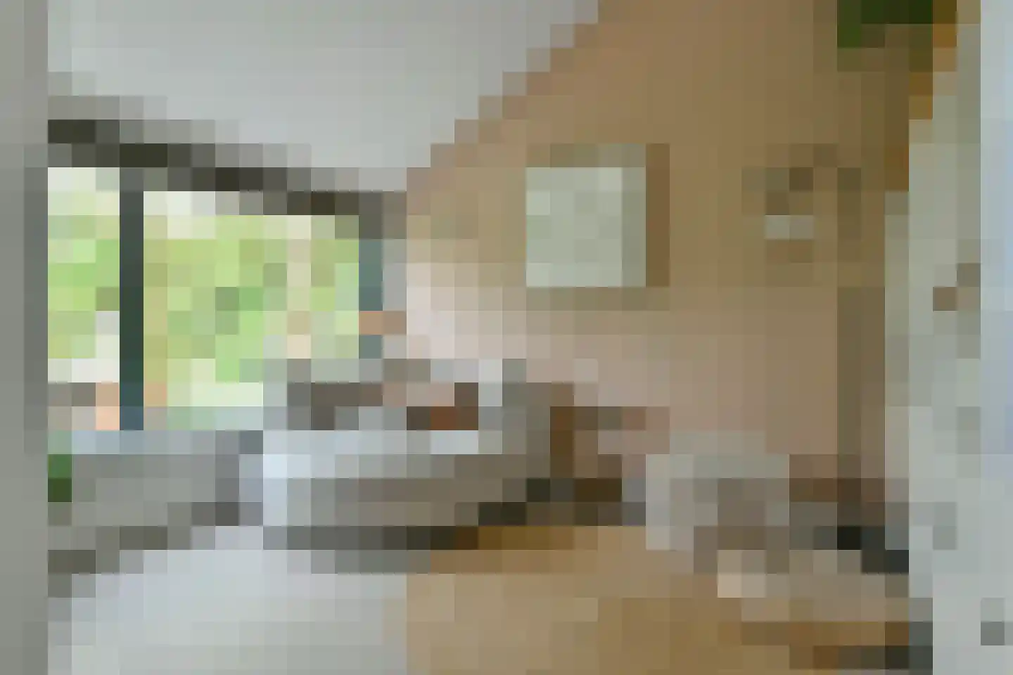 Catharina van Renneslaan 19 Hilversum thumbnail 20