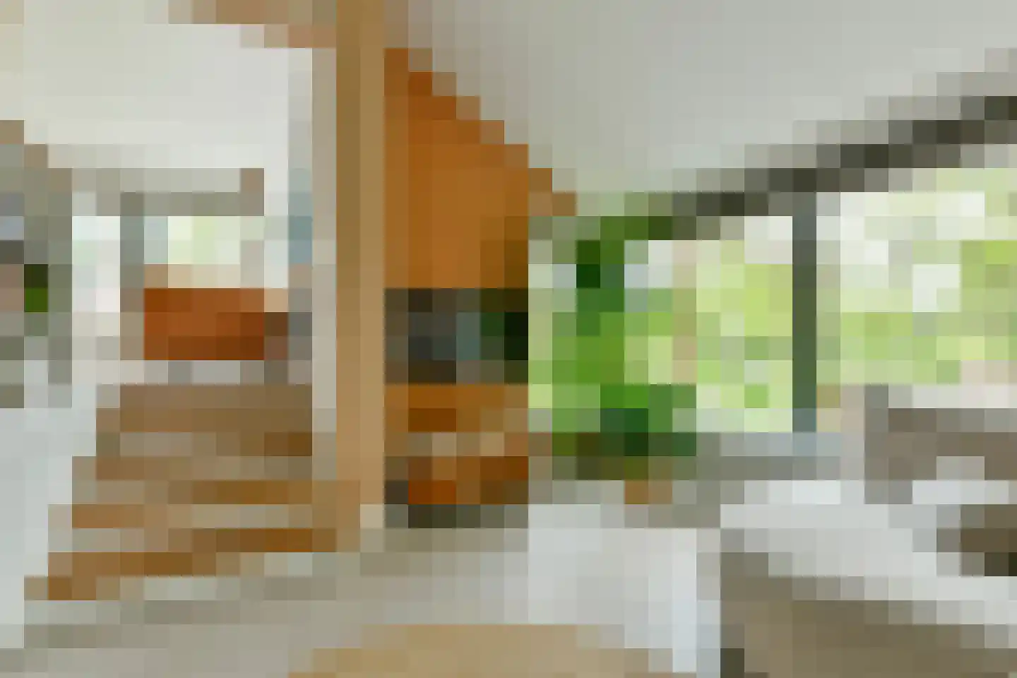 Catharina van Renneslaan 19 Hilversum thumbnail 21