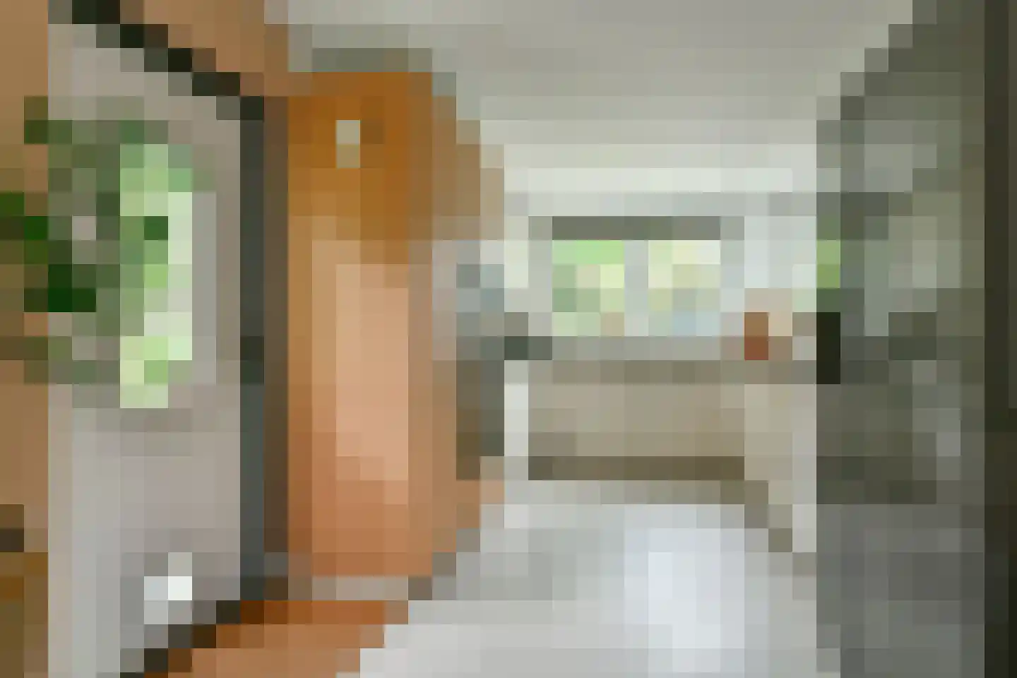 Catharina van Renneslaan 19 Hilversum thumbnail 26
