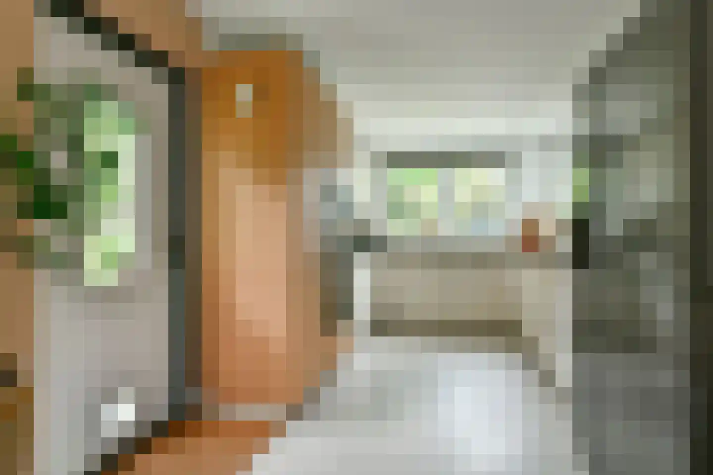 Catharina van Renneslaan 19 Hilversum thumbnail 26