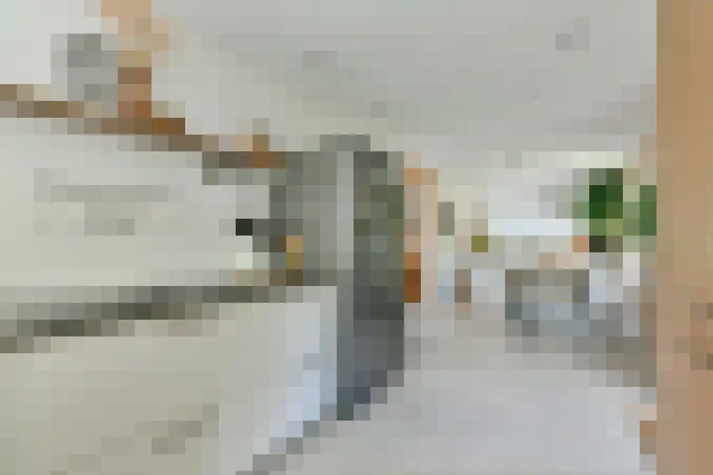 Catharina van Renneslaan 19 Hilversum thumbnail 28