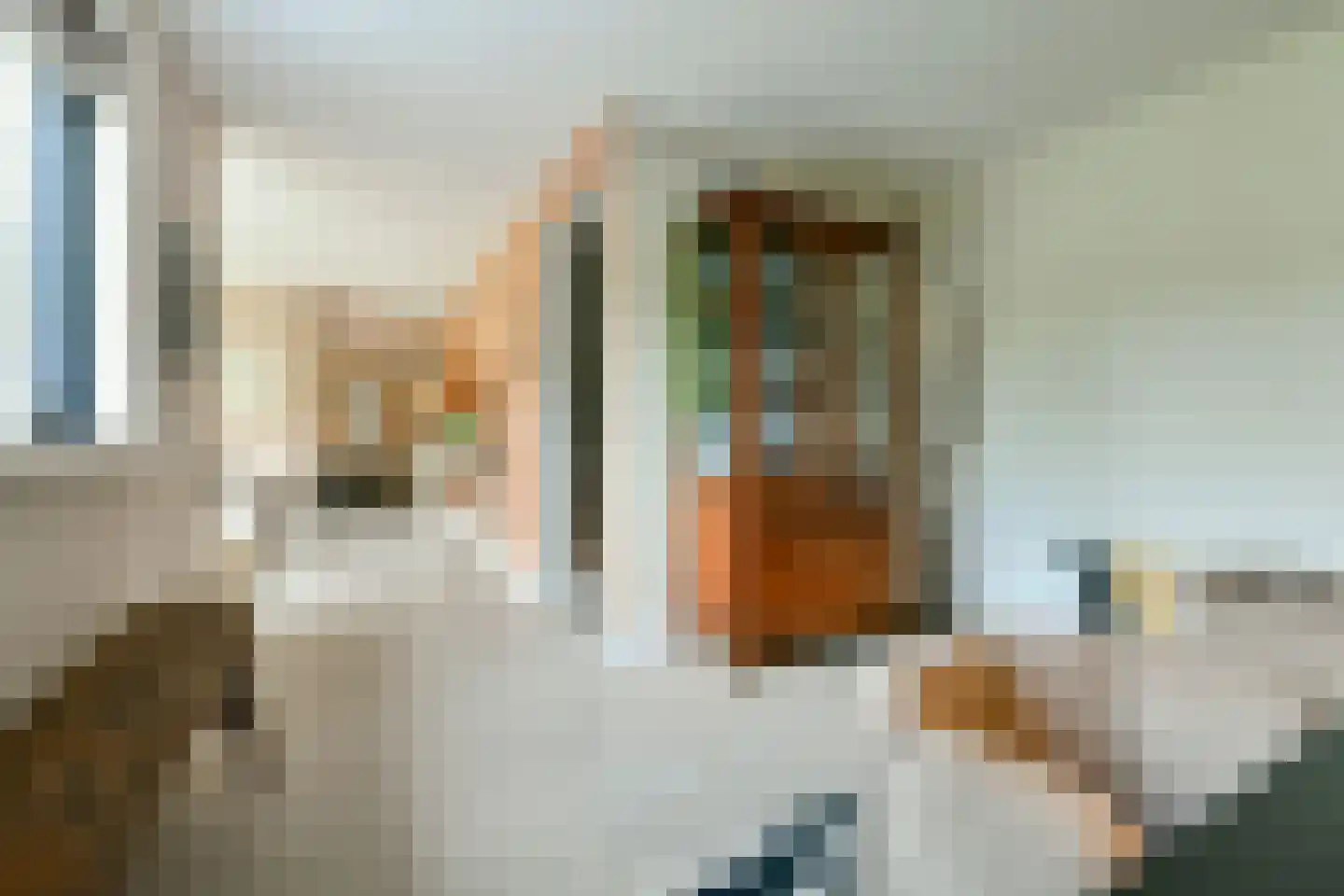 Catharina van Renneslaan 19 Hilversum thumbnail 29