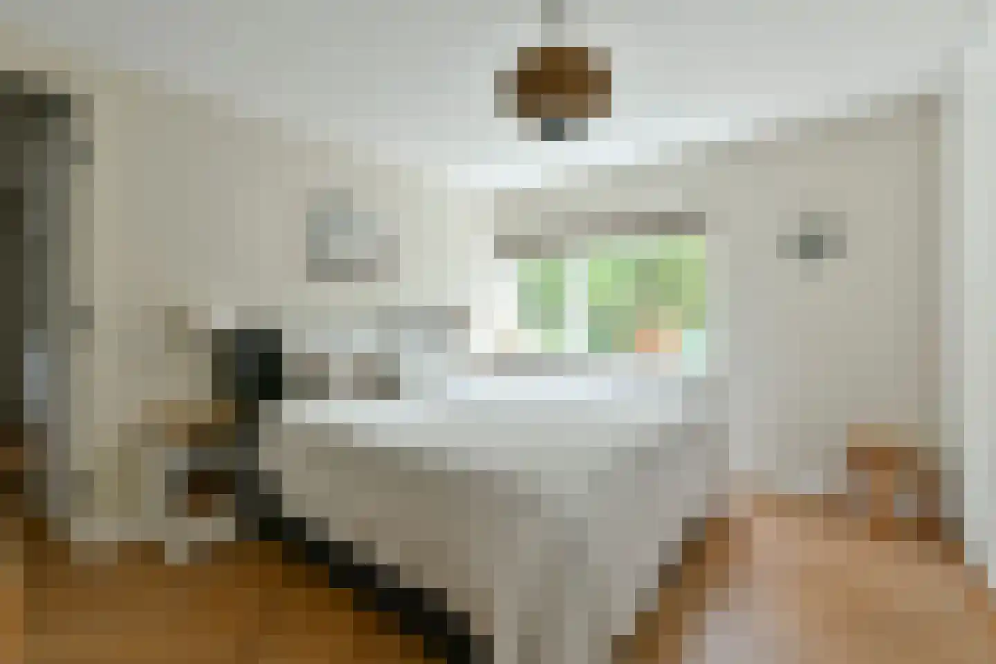 Catharina van Renneslaan 19 Hilversum thumbnail 35