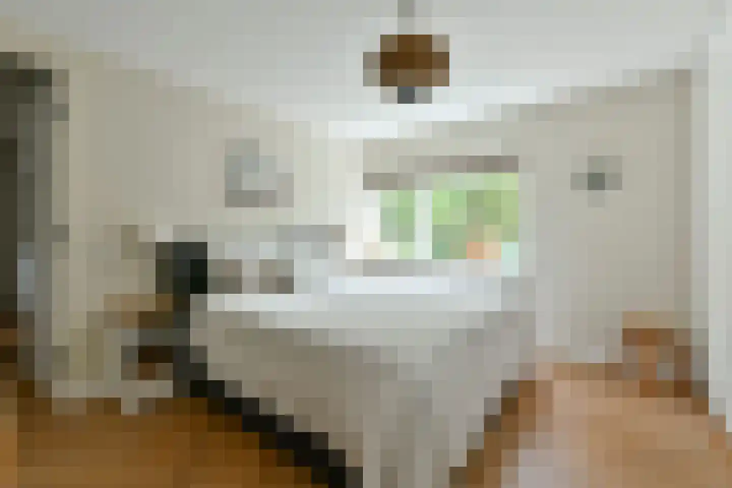 Catharina van Renneslaan 19 Hilversum thumbnail 35