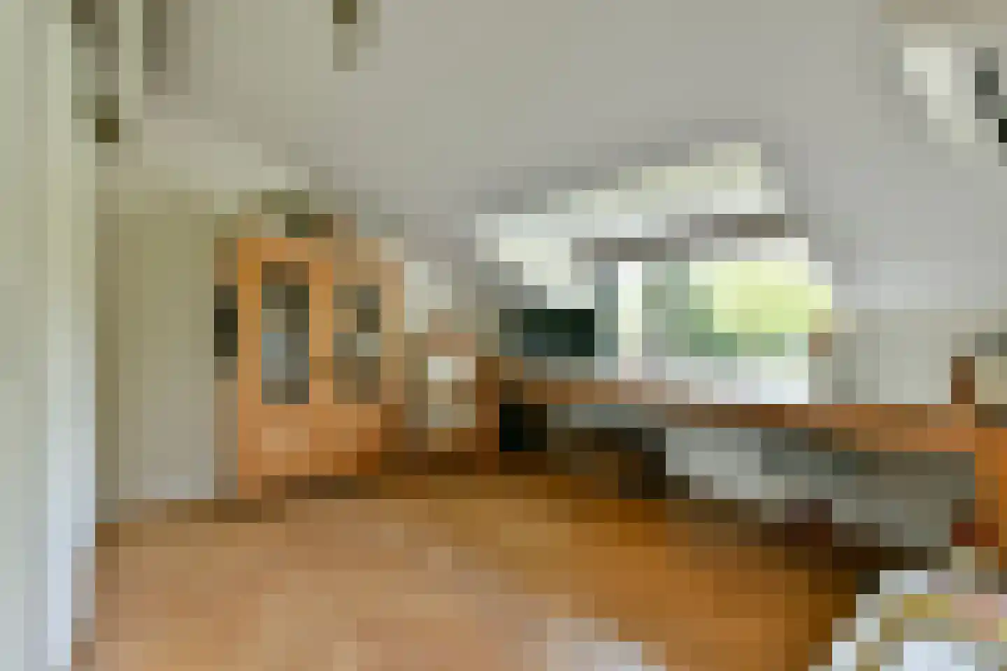 Catharina van Renneslaan 19 Hilversum thumbnail 36