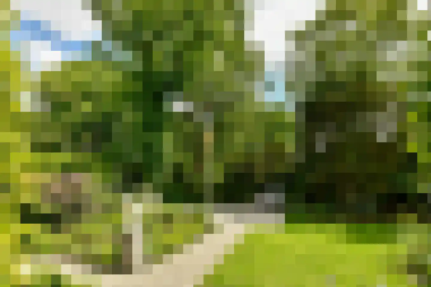 Catharina van Renneslaan 19 Hilversum thumbnail 5