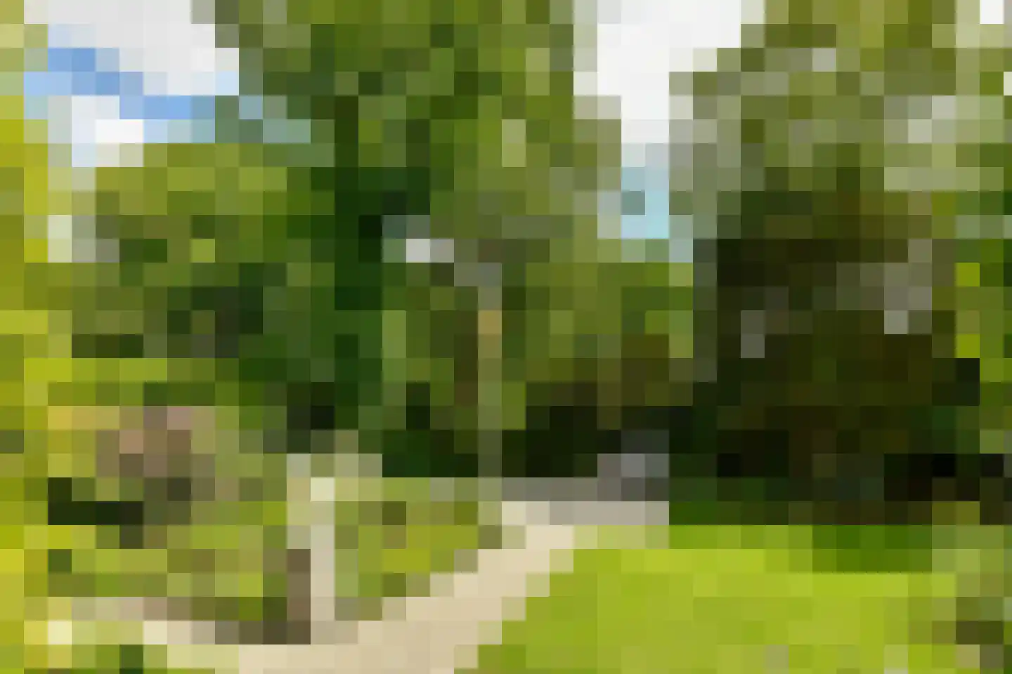 Catharina van Renneslaan 19 Hilversum thumbnail 5