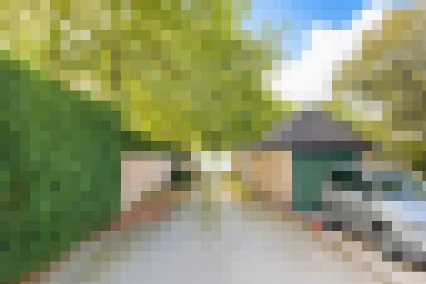 Catharina van Renneslaan 28 GAR-11 Bussum thumbnail 5