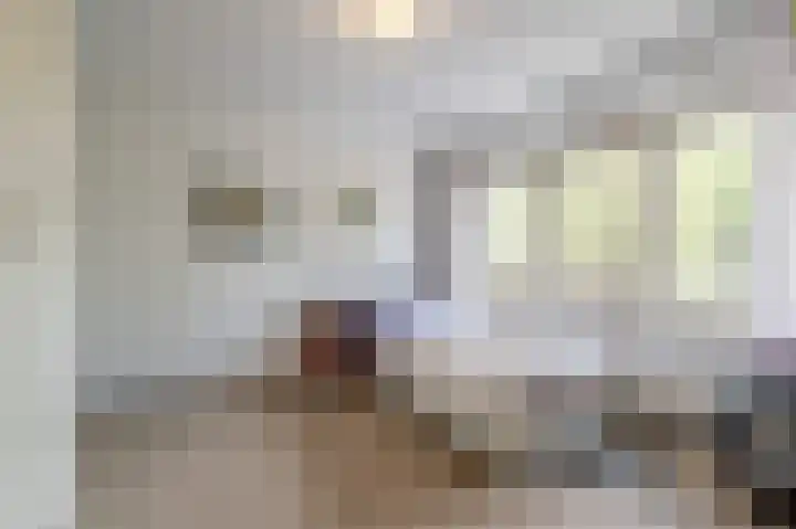 Catharina van Renneslaan 4 Amstelveen thumbnail 26