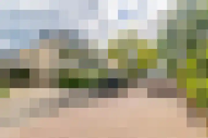 Catharina van Renneslaan 4 Amstelveen thumbnail 31