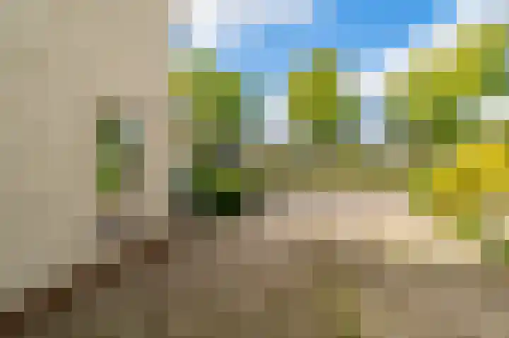 Catharina van Renneslaan 4 Amstelveen thumbnail 32