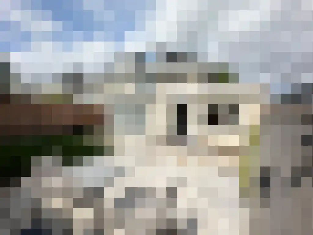 Catharina van Renneslaan 8 Amstelveen thumbnail 4