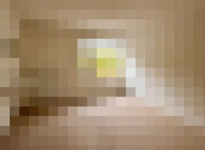 Catharina van Renneslaan 9 Almelo thumbnail 11