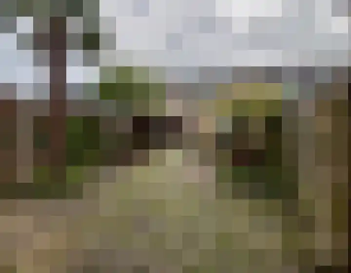 Catharina van Renneslaan 9 Almelo thumbnail 4