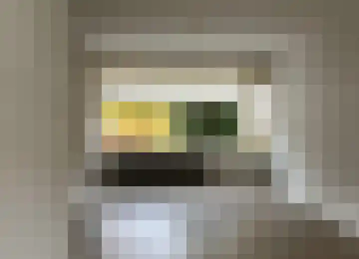 Catharina van Renneslaan 9 Almelo thumbnail 5