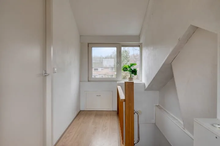 Catharina van Rennesplein 28 Dieren thumbnail 27