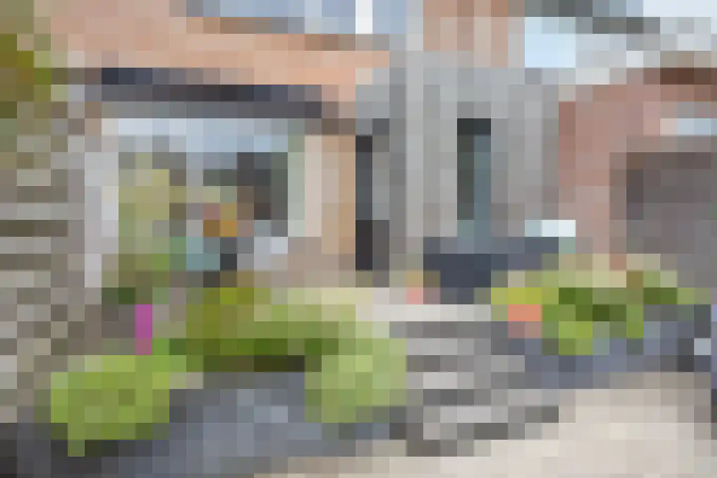 Catharina van Rennesplein 34 Dieren thumbnail 19