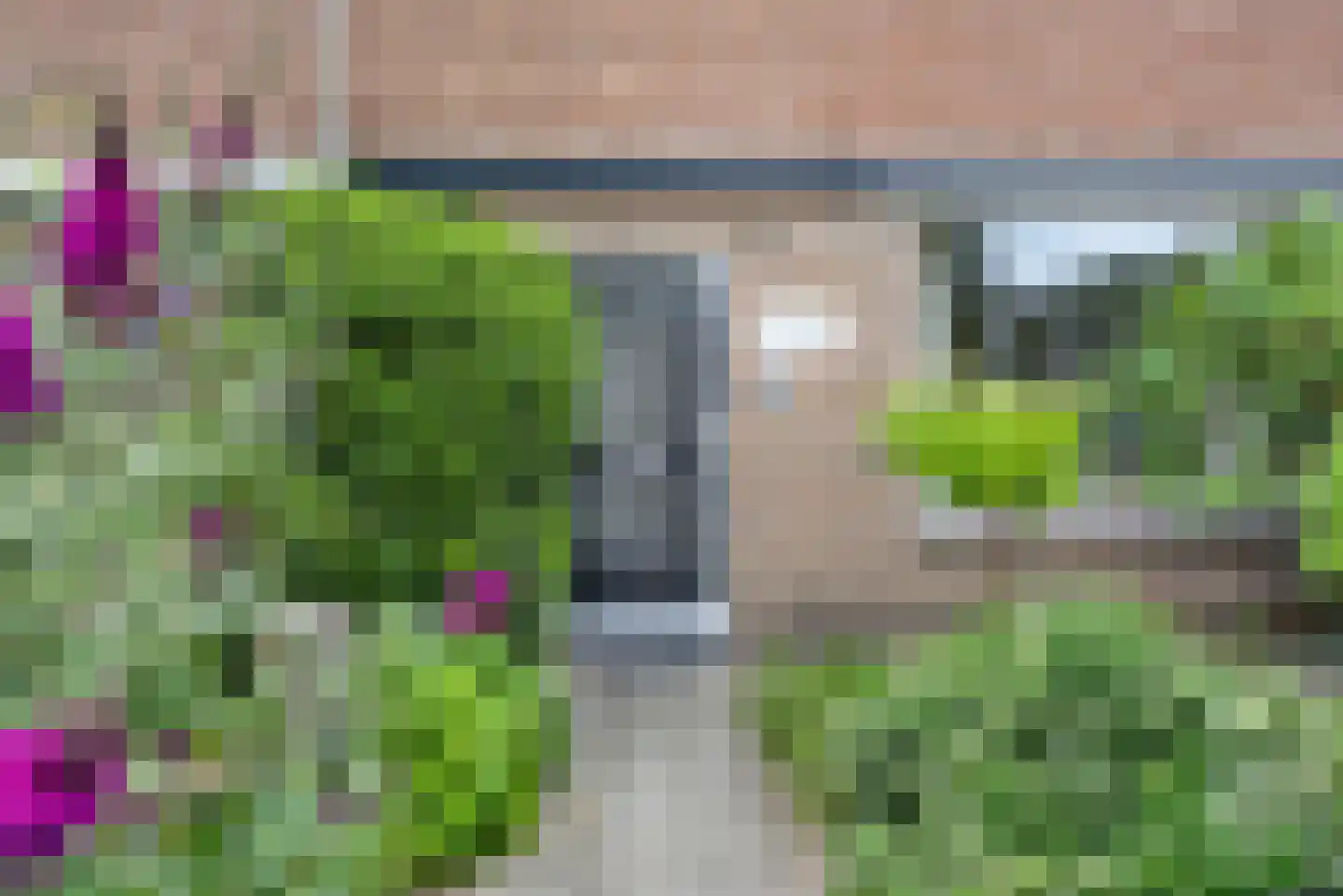 Catharina van Rennesplein 34 Dieren thumbnail 23