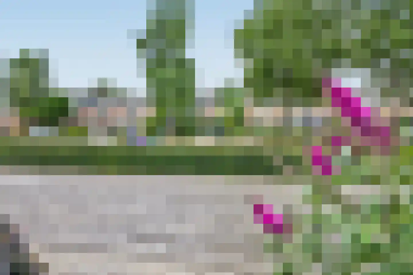 Catharina van Rennesplein 34 Dieren thumbnail 24