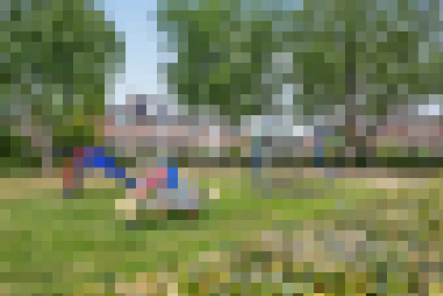 Catharina van Rennesplein 34 Dieren thumbnail 25