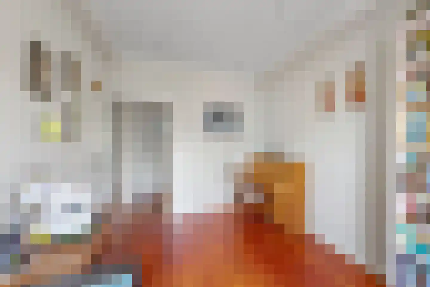 Catharina van Rennesstraat 1 2 Amsterdam thumbnail 18