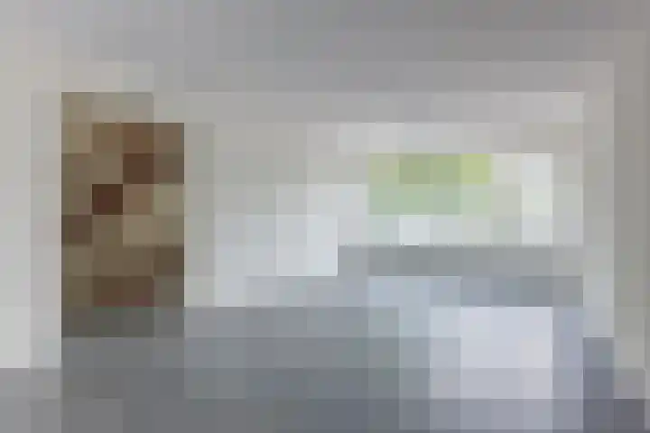 Catharina van Rennesstraat 10 Den Haag thumbnail 4