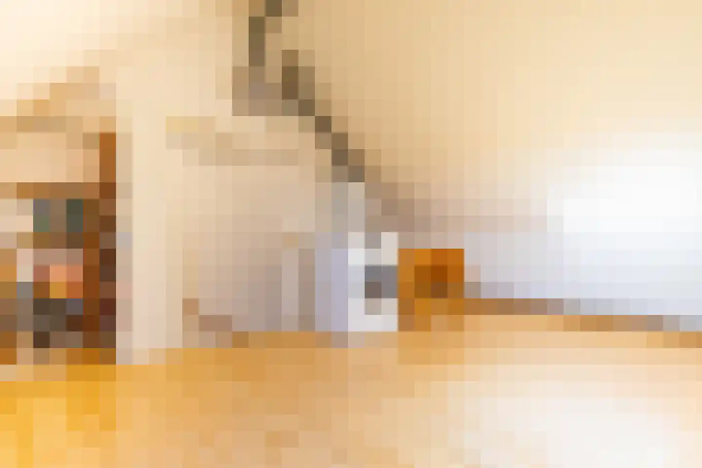 Catharina van Rennesstraat 10 Hoofddorp thumbnail 30