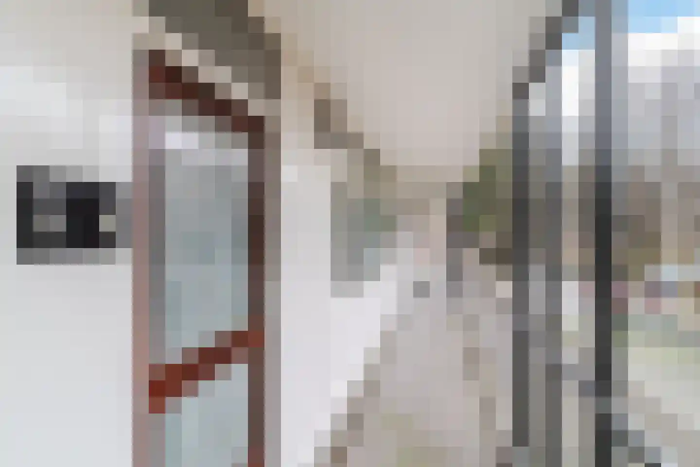 Catharina van Rennesstraat 148 Den Haag thumbnail 12