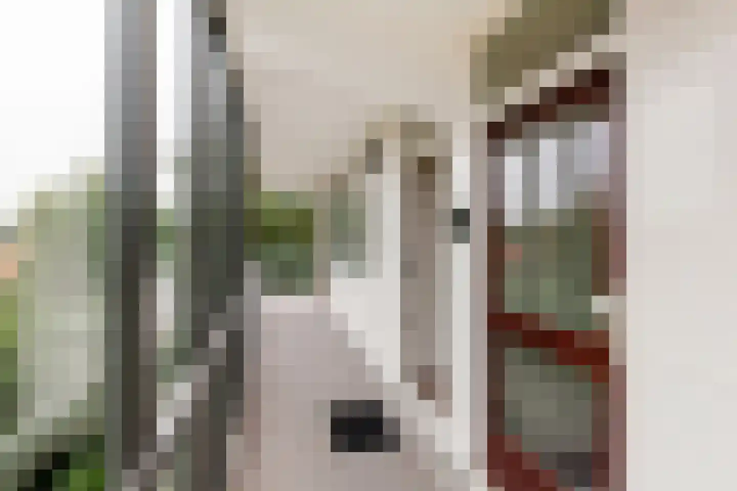 Catharina van Rennesstraat 176 Den Haag thumbnail 16