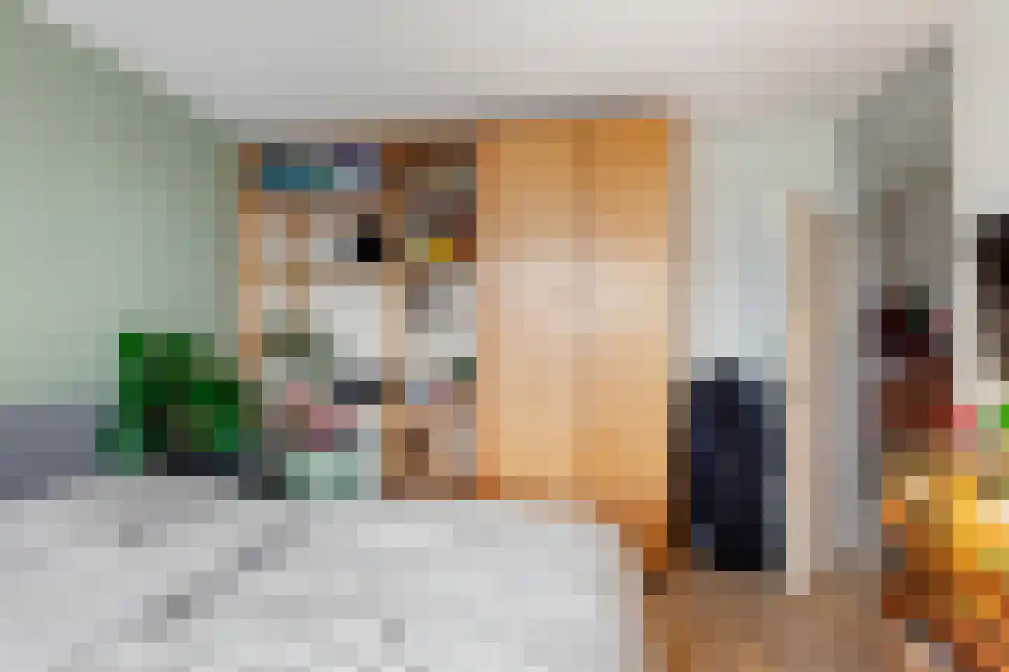 Catharina van Rennesstraat 176 Den Haag thumbnail 8